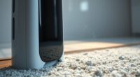 air purifiers remove rug dust