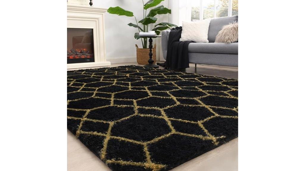 black 4x6 shag rug