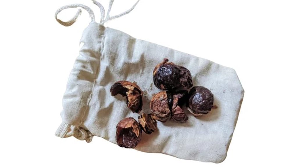 eco friendly soap nut detergent