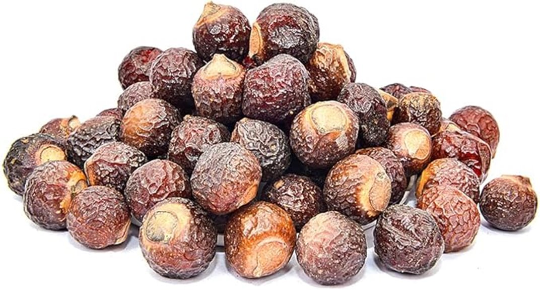 eco friendly soap nuts pack