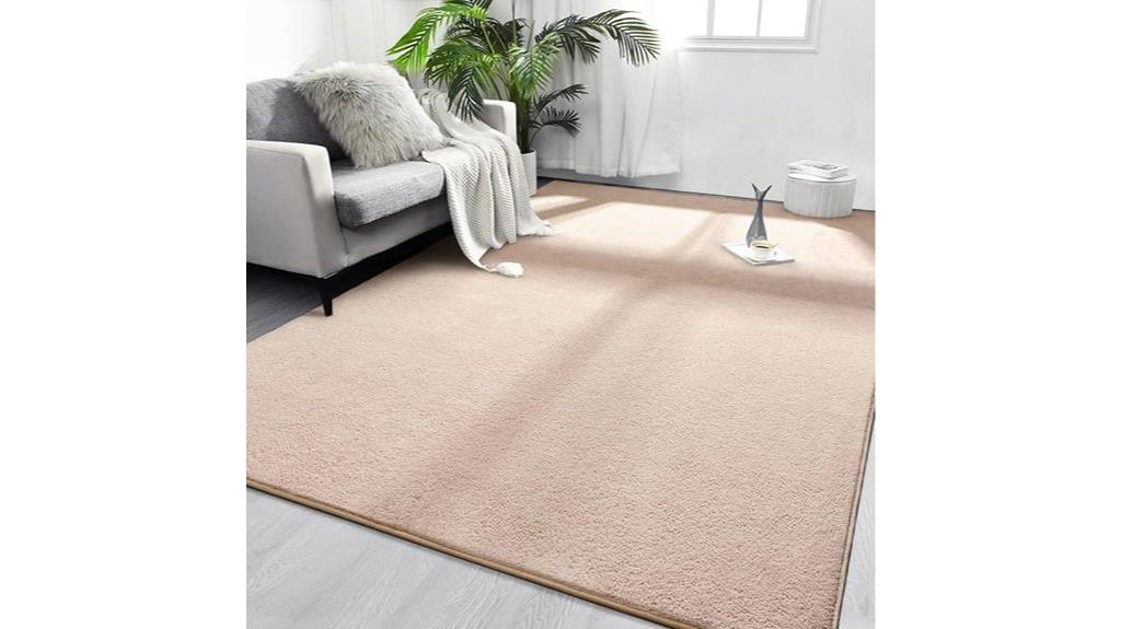 ivory 4x6 area rug