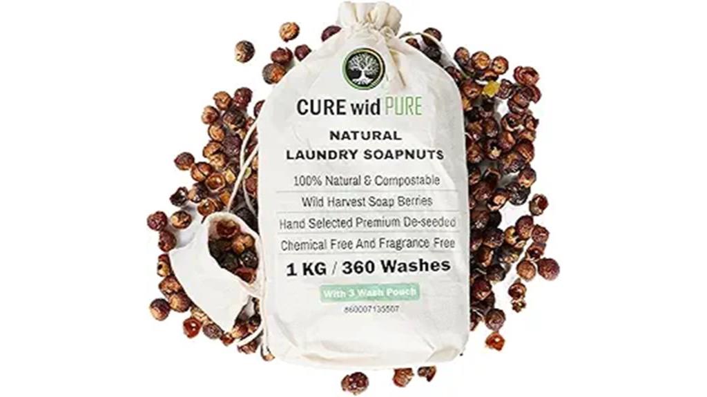 organic soap nuts kit