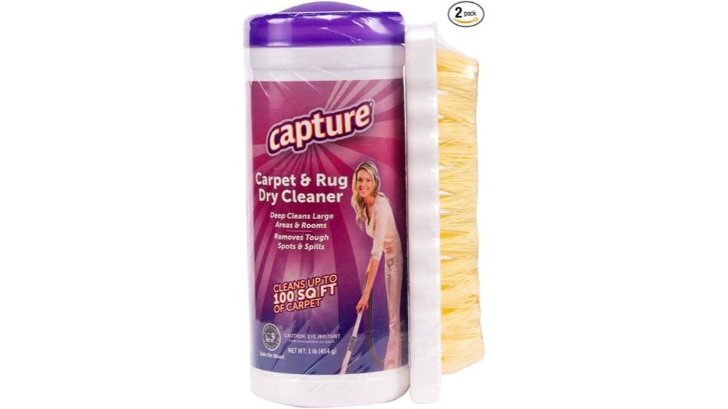 portable carpet cleaning brush