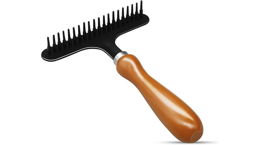 portable rug cleaning tool