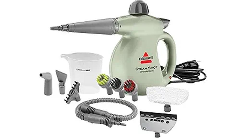 portable steam cleaner