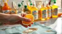 top citrus based spot remover list
