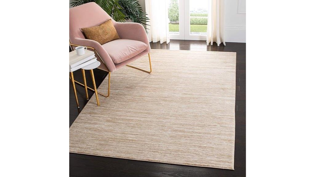 vision collection 6x9 rug