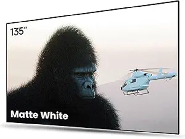 AWOL VISION 135-inch Fixed Frame Projector Screen