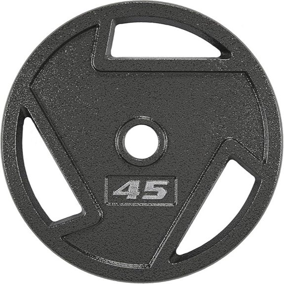 Elevon Cast Iron Weight Plate for Strength Training