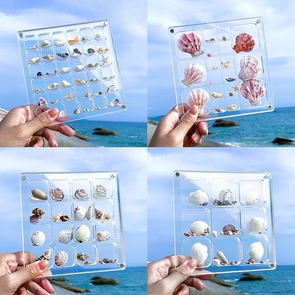 Multi-Style Clear Acrylic Seashell Display Box