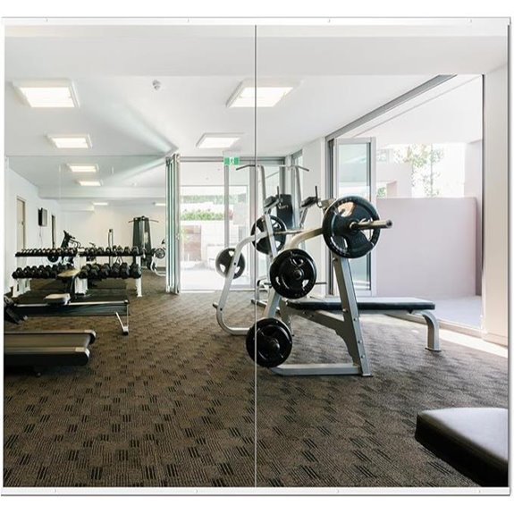 Delma Home Gym Mirror Frameless Wall-Mounted Full Body