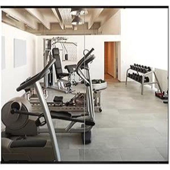 Delma Home Gym Mirror 54x30 Frameless Wall Mount