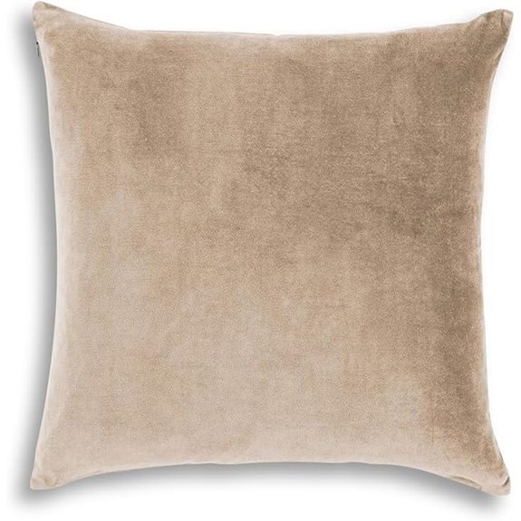 Christy Jaipur Luxury Filled Cotton Velvet Cushion