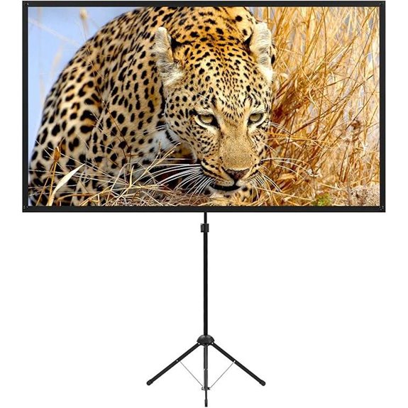 Portable Projector Screen with Stand 80 Inch 16:9