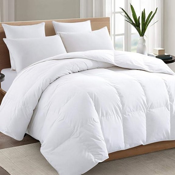 TEXARTIST 2100 Series Queen Comforter All Season