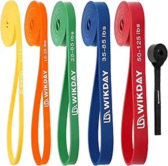 Resistance Bands Set with Door Anchor for Exercise