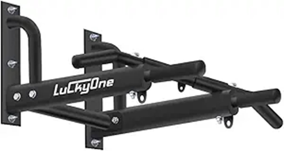 Heavy Duty Wall Mount Pull-Up Bar