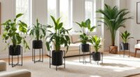 top carpet friendly indoor planters