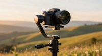 top mirrorless gimbal picks