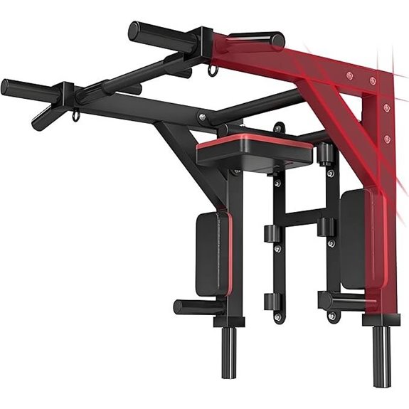 Multifunctional Wall Mount Pull-Up Bar and Dip Station