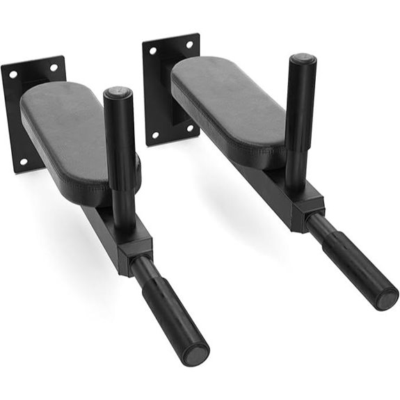 Synergee Wall Mount Dip Station for Upper Body