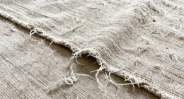 beater bars damage expensive rugs