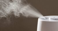 humidifier mist and dust