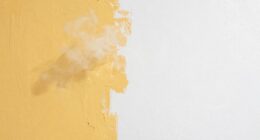 voc paint label confusion