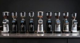 top commercial burr grinders