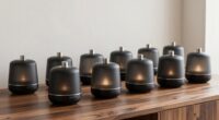 top waterless diffuser picks