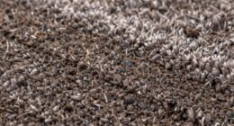 surface dirt versus embedded grit