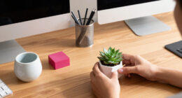 7 Best Decorative Desk Accessories in 2026
