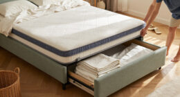 15 Best Upholstered Storage Beds for 2026