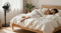 I’m A Hot Sleeper, And This Comforter Has Kept Me Cool And Cozy For Nine Years